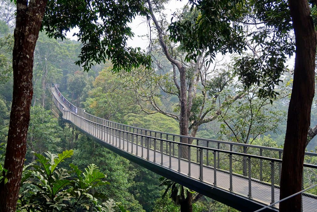 The Habitat Penang Hill