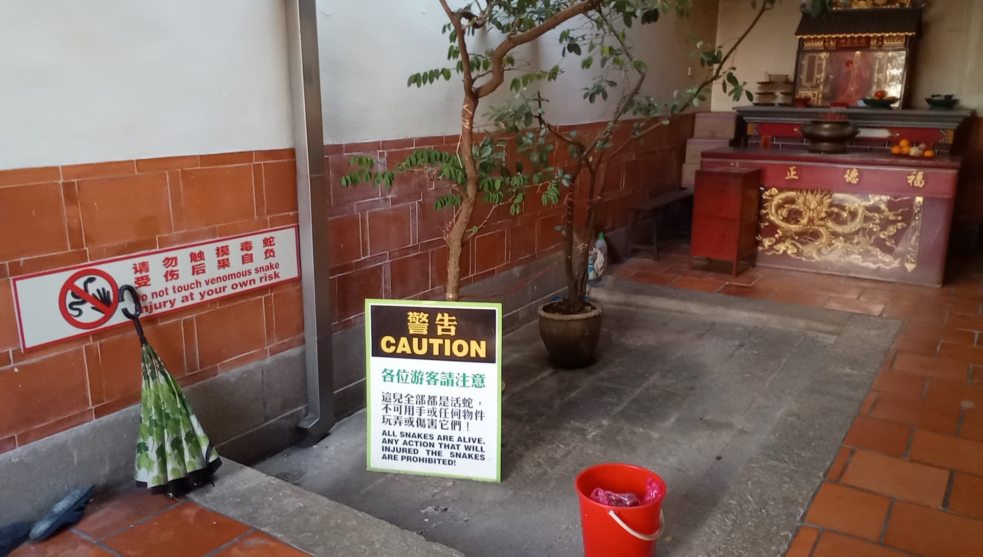 Snake Temple